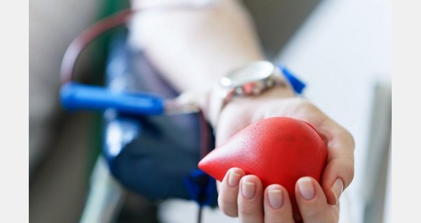 Doação de sangue e medula óssea será evidenciada em Taió Doação de sangue e medula óssea será evidenciada em Taió