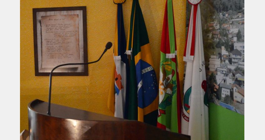 Serviço de guincho volta a ser debatido na Câmara Serviço de guincho volta a ser debatido na Câmara
